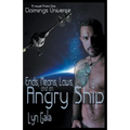 Ends, Means, Laws and an Angry Ship