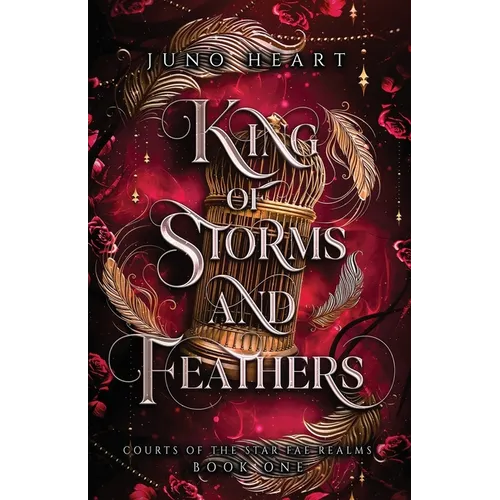 King of Storms and Feathers: A Dark Fae Fantasy Romance