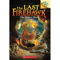 The Secret Maze: A Branches Book (the Last Firehawk #10)