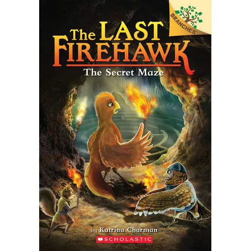 The Secret Maze: A Branches Book (the Last Firehawk #10)