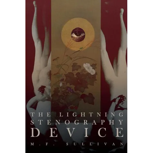 The Lightning Stenography Device