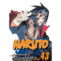 Naruto, Vol. 43: The Man with the Truth