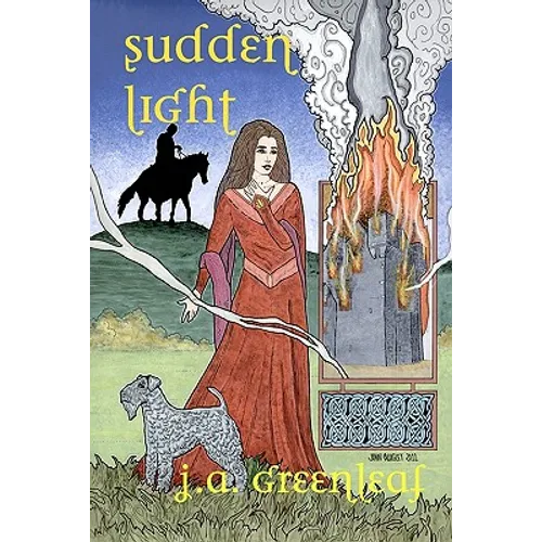 Sudden Light: Donegal's Novel