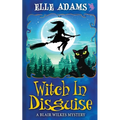 Witch in Disguise