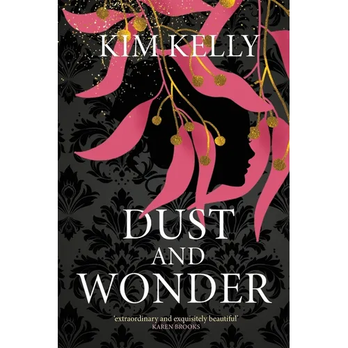 Dust and Wonder