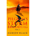 Pilgrim's Storm Brooding Volume 1: A Dark Fantasy Epic