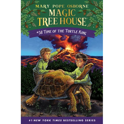 Time of the Turtle King