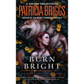 Burn Bright