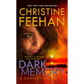 Dark Memory