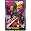 X-Men: Raid on Graymalkin