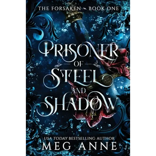 Prisoner of Steel and Shadow