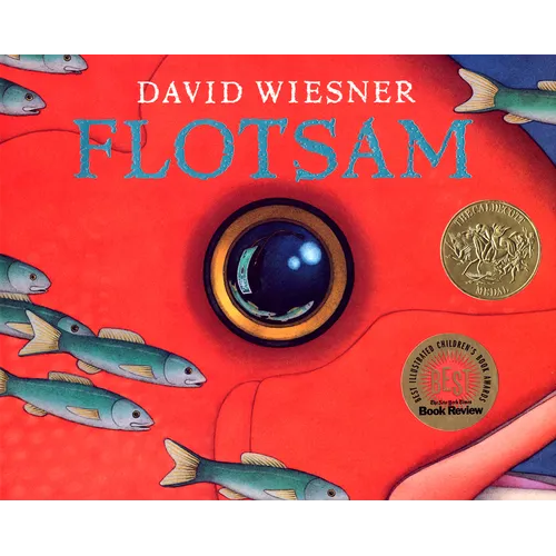 Flotsam: A Caldecott Award Winner