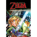 The Legend of Zelda: Twilight Princess, Vol. 9