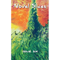 Novel Slices Issue 6