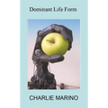 Dominant Life Form: Off the grid hackers labor to create intelligent robots on Earth