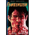 Frankenstein-The Graphic Novel