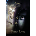 Allon Book 9 - In Plain Sight