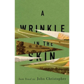 A Wrinkle in the Skin