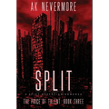 Split: A Spicy Dystopian Romance