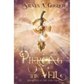 Piercing the Veil: Book One of The Veil Saga