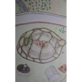The Turtle Test