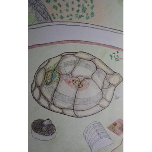 The Turtle Test