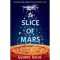 A Slice of Mars
