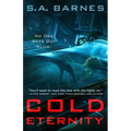 Cold Eternity