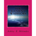 The Element Warriors
