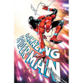 Amazing Spider-Man Vol. 3: Resolute