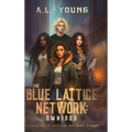 The Blue Lattice Network: Omnibus