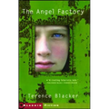 The Angel Factory