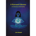 A Starseed Odyssey: An Adventure of the Realms
