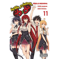 High School DXD, Vol. 11