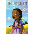 Jupiter Storm