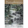 Metaphorosis November 2022