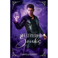 Shattered Souls (A Soul Weavers Novella)