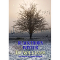 Blackthorn Winter