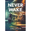 Neverwake