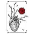 Thirteen: Stories of Transformation