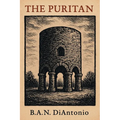 The Puritan: Curse of the Rune Stones