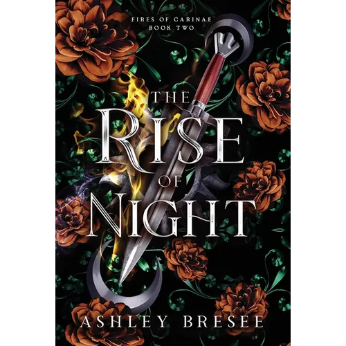 The Rise of Night: A Dark Fantasy Romance