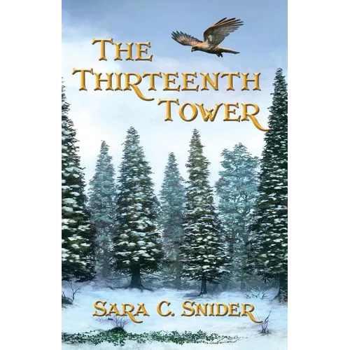 The Thirteenth Tower