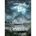 The Shard and the Shadow