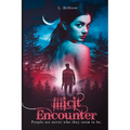 Illicit Encounter