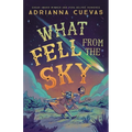 What Fell from the Sky