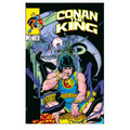 King Conan: The Original Comics Omnibus Vol. 2