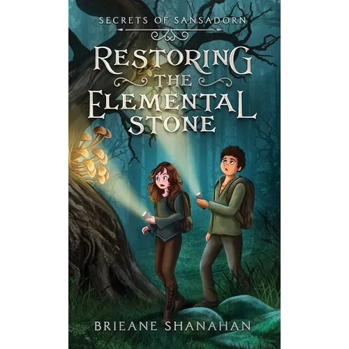 Restoring the Elemental Stone