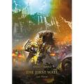 The First Wall