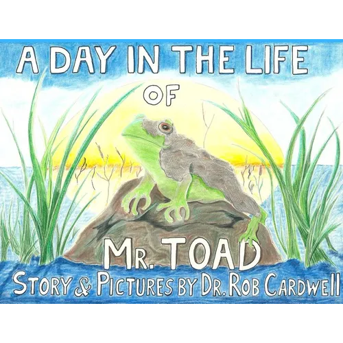 A Day in the Life of Mr. Toad